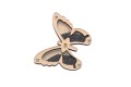 klepsydra_motyL