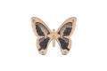 klepsydra_motyL